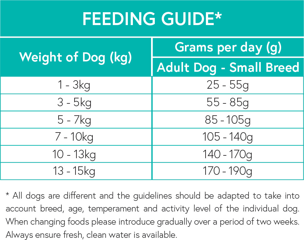Small Dog Food Feeding